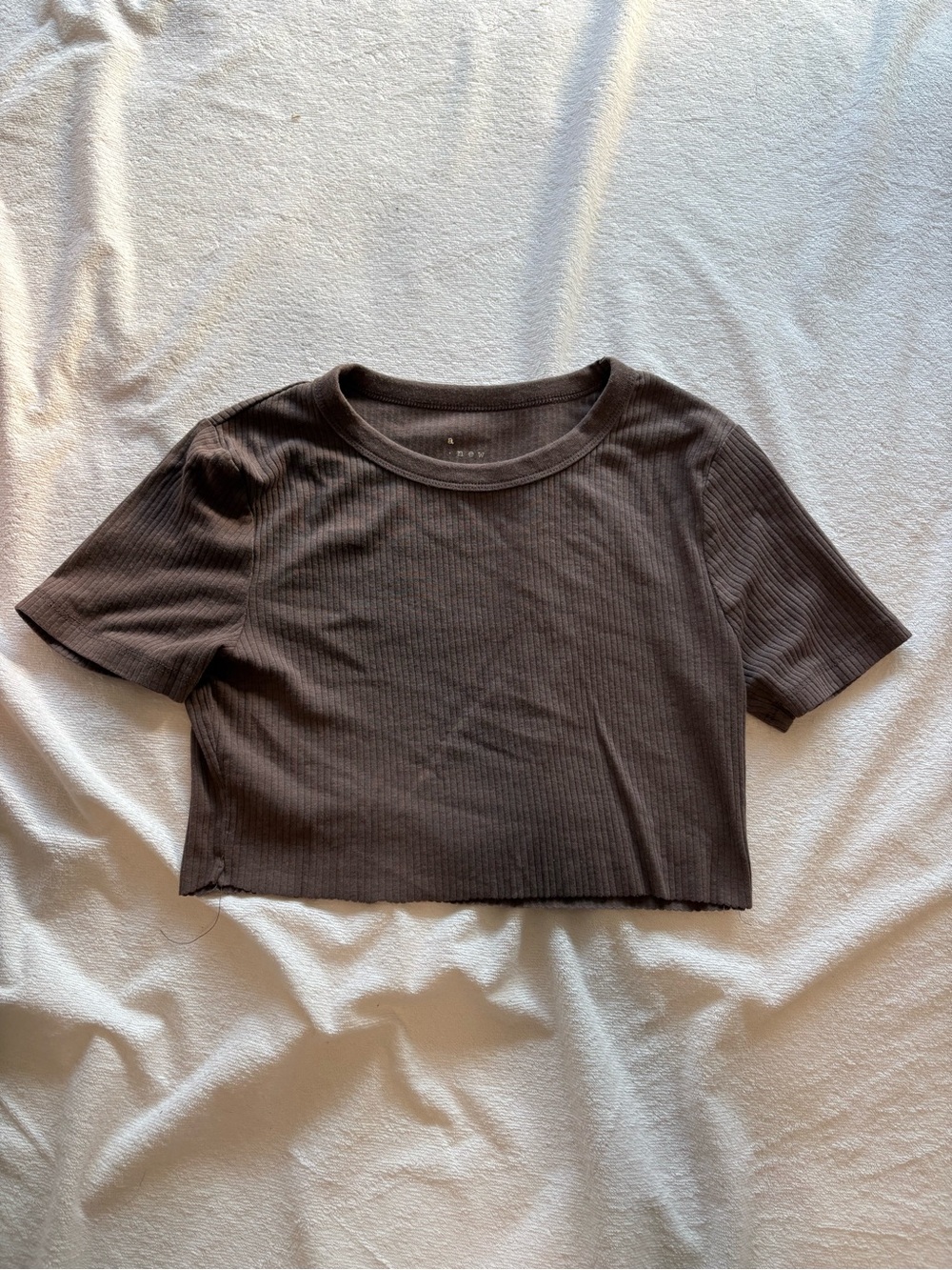 a new day Ribbed Cropped Tee in Brown